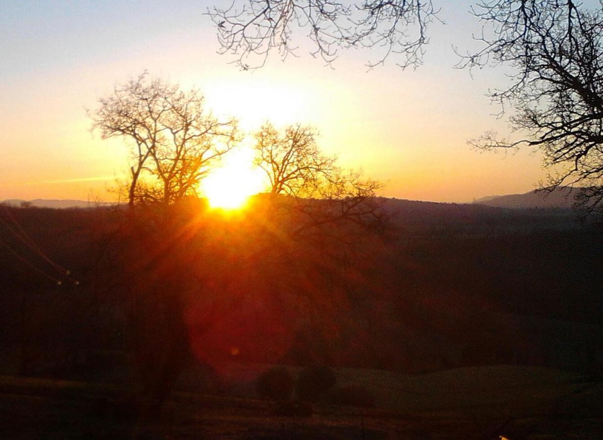 Il Laghetto Agriturismo Villa Manciano Kültér fotó