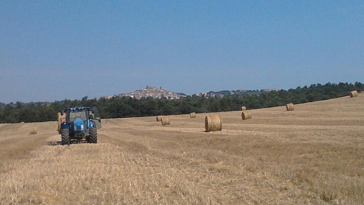 Il Laghetto Agriturismo Villa Manciano Kültér fotó
